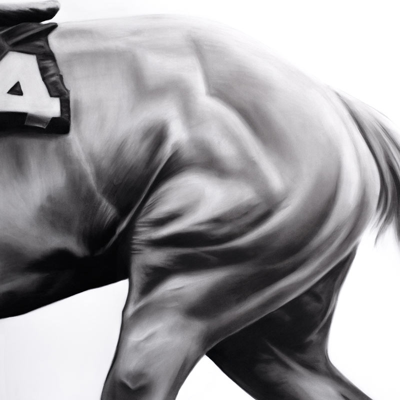 Muscle Power - Charcoal on Canvas Equine artwork by Emily Johnson
