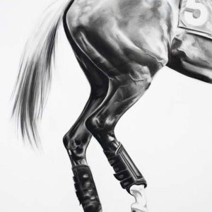 muscle toned to perfection this is charcoal horse art is "Race Ready" by Emily Johnson